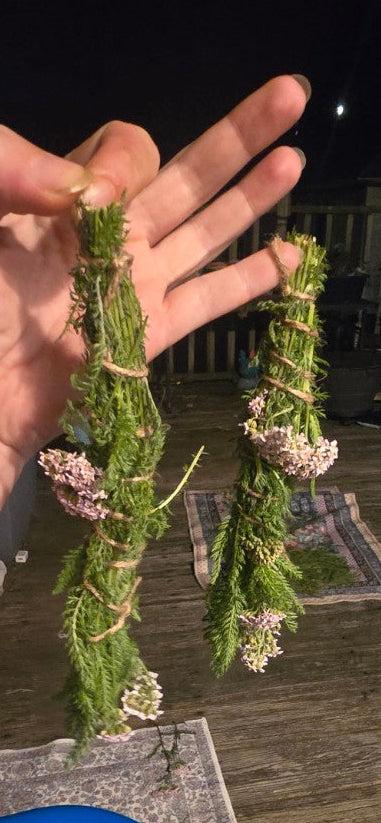 Yarrow Bundle (Achillea millefolium)
